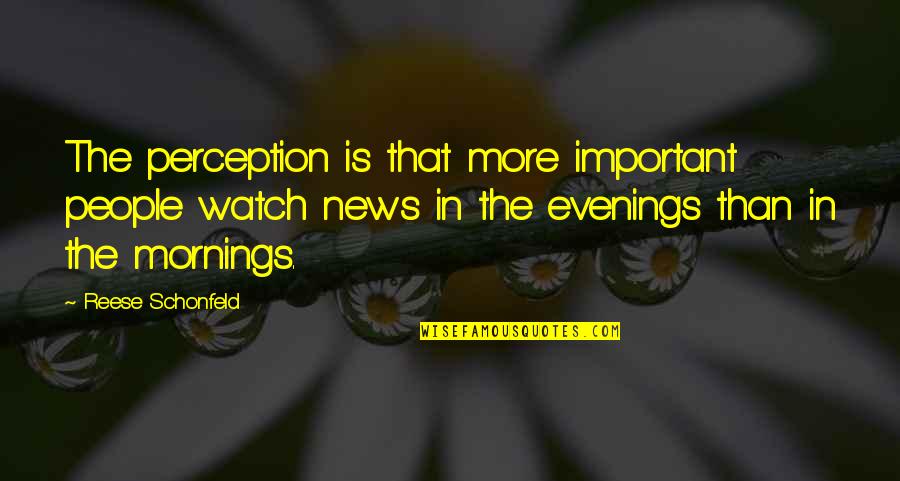 Evenings Quotes By Reese Schonfeld: The perception is that more important people watch