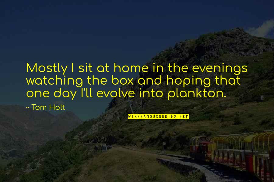 Evenings Quotes By Tom Holt: Mostly I sit at home in the evenings
