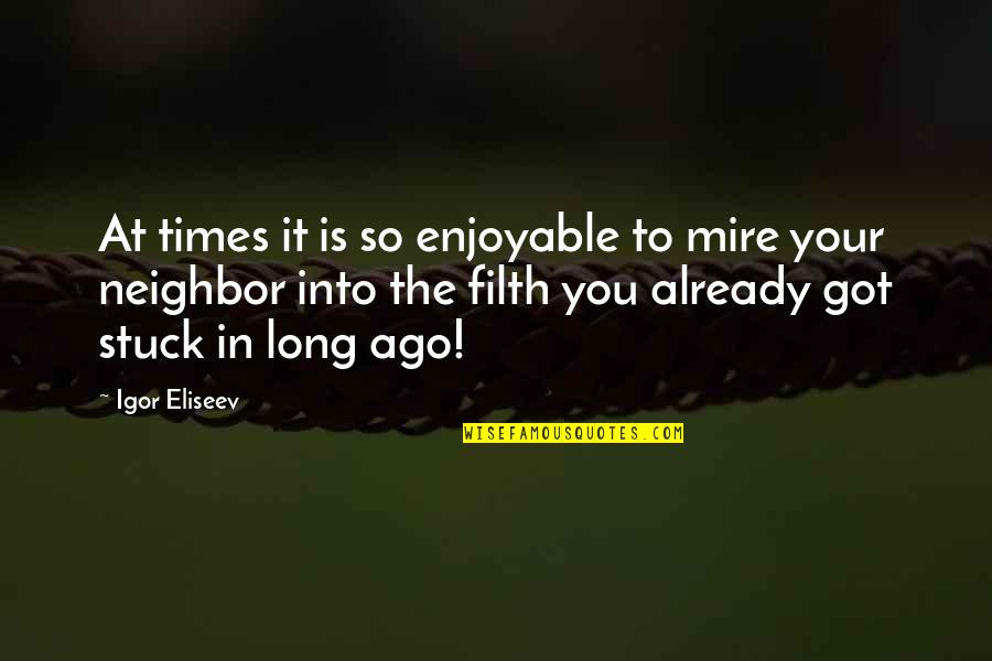 Ever Best Inspirational Quotes By Igor Eliseev: At times it is so enjoyable to mire