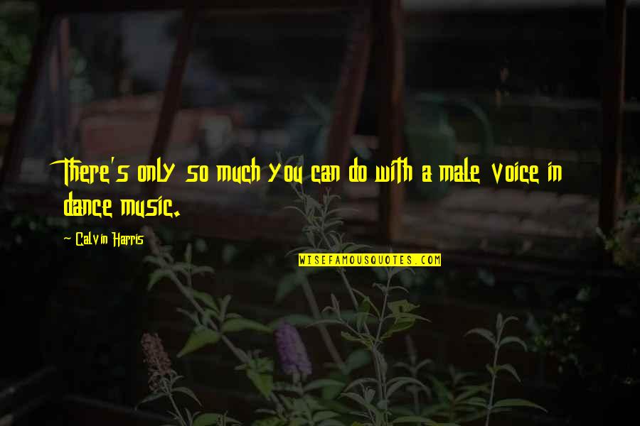 Ever Diede Quotes By Calvin Harris: There's only so much you can do with