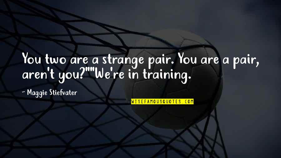 Ever Since The Day We Met Quotes By Maggie Stiefvater: You two are a strange pair. You are