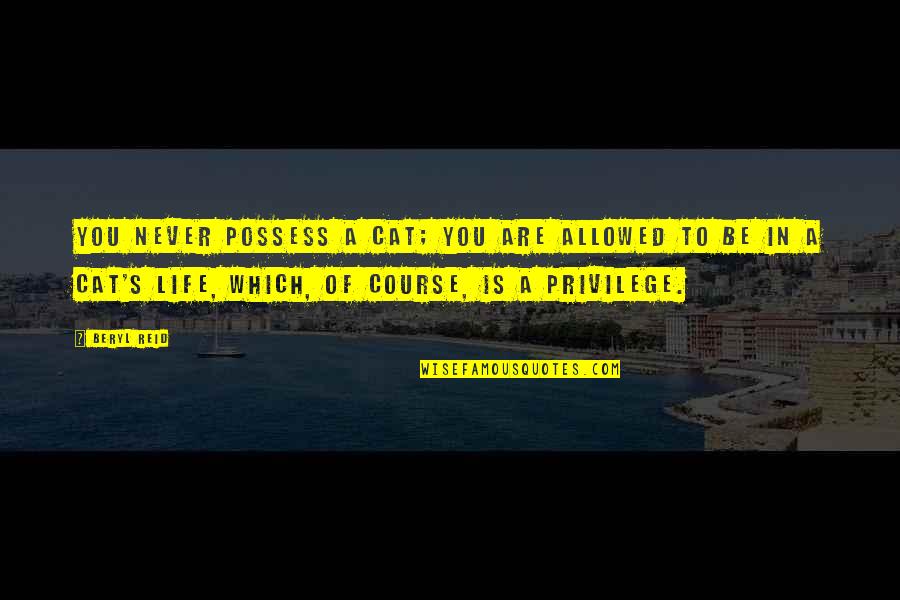 Evereden Quotes By Beryl Reid: You never possess a cat; you are allowed Evereden Quotes By Beryl Reid: You never possess a cat; you are allowed
