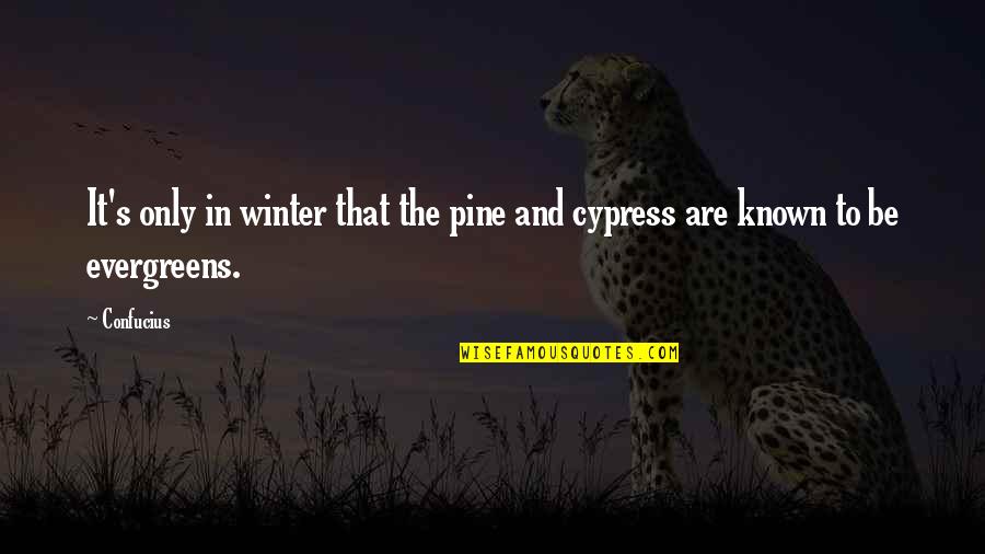 Evergreens Quotes By Confucius: It's only in winter that the pine and