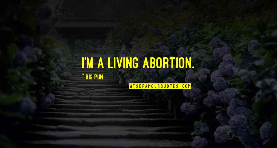 Every Girl Has A Story Quotes By Big Pun: I'm a living abortion. Every Girl Has A Story Quotes By Big Pun: I'm a living abortion.