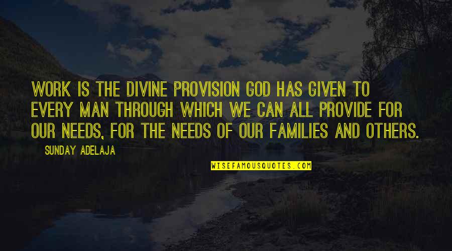 Every Man Needs Quotes By Sunday Adelaja: Work is the divine provision God has given