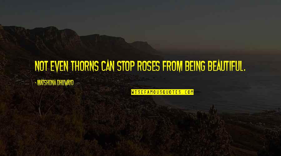 Every Setback Is A Setup For A Comeback Quotes By Matshona Dhliwayo: Not even thorns can stop roses from being Every Setback Is A Setup For A Comeback Quotes By Matshona Dhliwayo: Not even thorns can stop roses from being