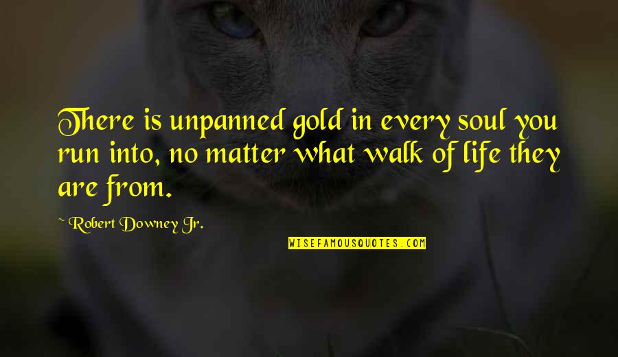 Every Walk Of Life Quotes By Robert Downey Jr.: There is unpanned gold in every soul you