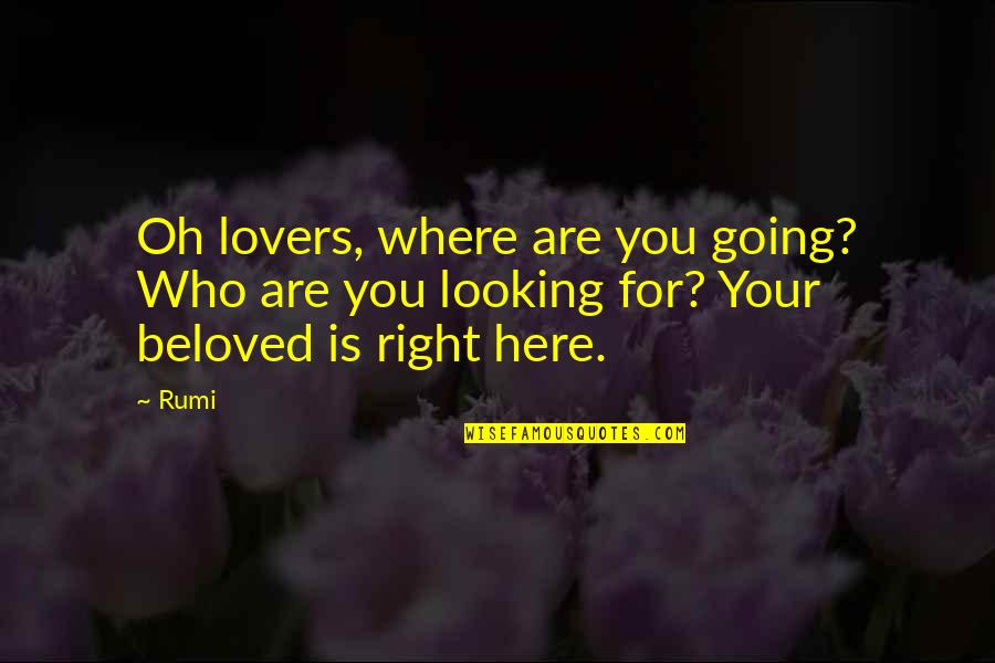 Everybody Needs Somebody Quotes By Rumi: Oh lovers, where are you going? Who are