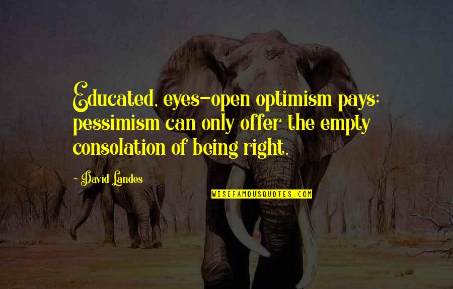 Everybody Somebody Anybody And Nobody Quotes By David Landes: Educated, eyes-open optimism pays; pessimism can only offer