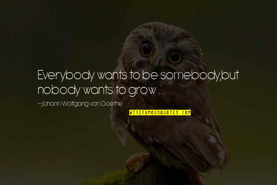 Everybody Wants Quotes By Johann Wolfgang Von Goethe: Everybody wants to be somebody,but nobody wants to