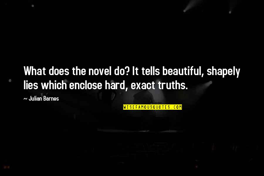 Everyday Im With You Quotes By Julian Barnes: What does the novel do? It tells beautiful, Everyday Im With You Quotes By Julian Barnes: What does the novel do? It tells beautiful,