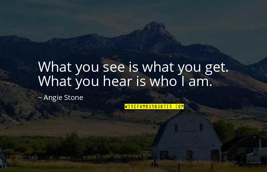 Everyone Being Special Quotes By Angie Stone: What you see is what you get. What