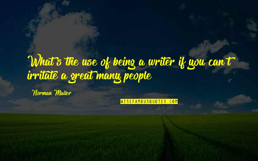 Everyone Doing Their Job Quotes By Norman Mailer: What's the use of being a writer if