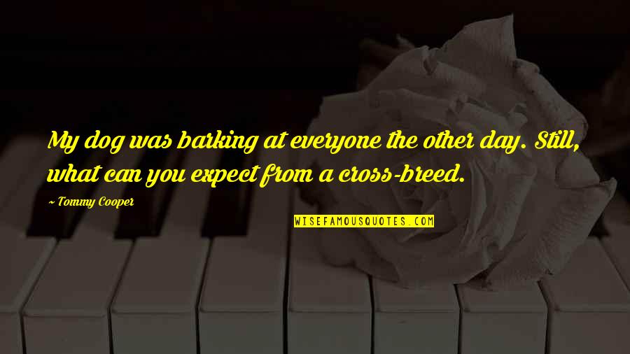 Everyone From Quotes By Tommy Cooper: My dog was barking at everyone the other Everyone From Quotes By Tommy Cooper: My dog was barking at everyone the other