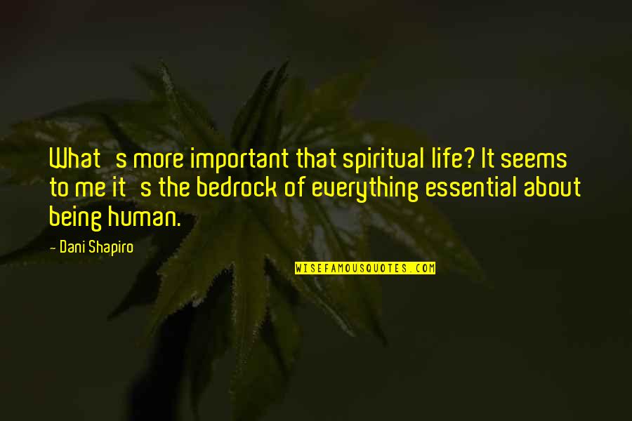 Everyone Has Feelings Quotes By Dani Shapiro: What's more important that spiritual life? It seems