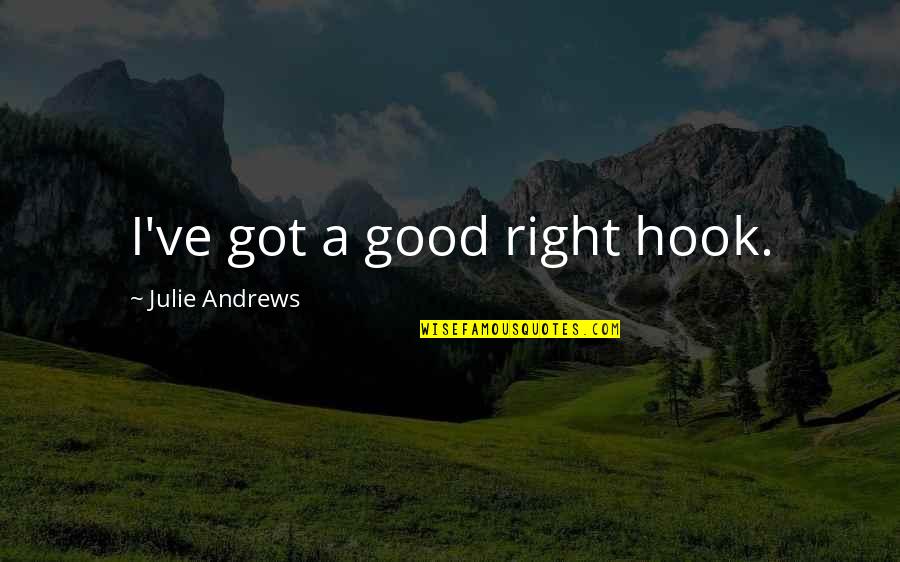 Everyone Has Their Own Agenda Quotes By Julie Andrews: I've got a good right hook.