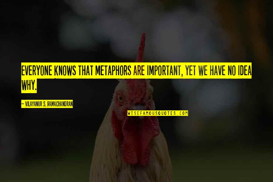 Everyone Important Quotes By Vilayanur S. Ramachandran: Everyone knows that metaphors are important, yet we