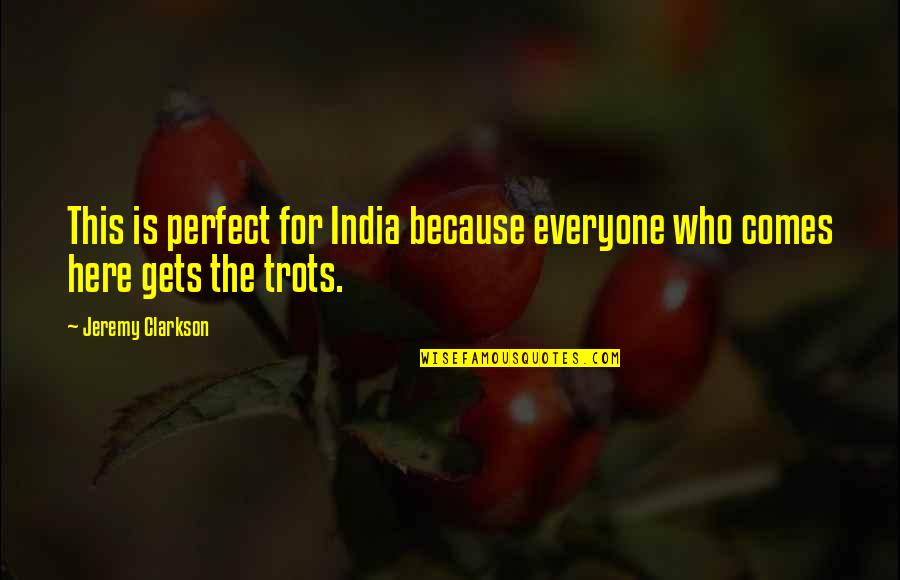 Everyone Is Perfect Quotes By Jeremy Clarkson: This is perfect for India because everyone who