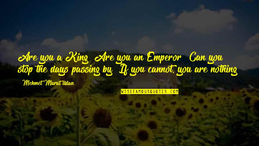 Everyone Is Pregnant But Me Quotes By Mehmet Murat Ildan: Are you a King? Are you an Emperor?