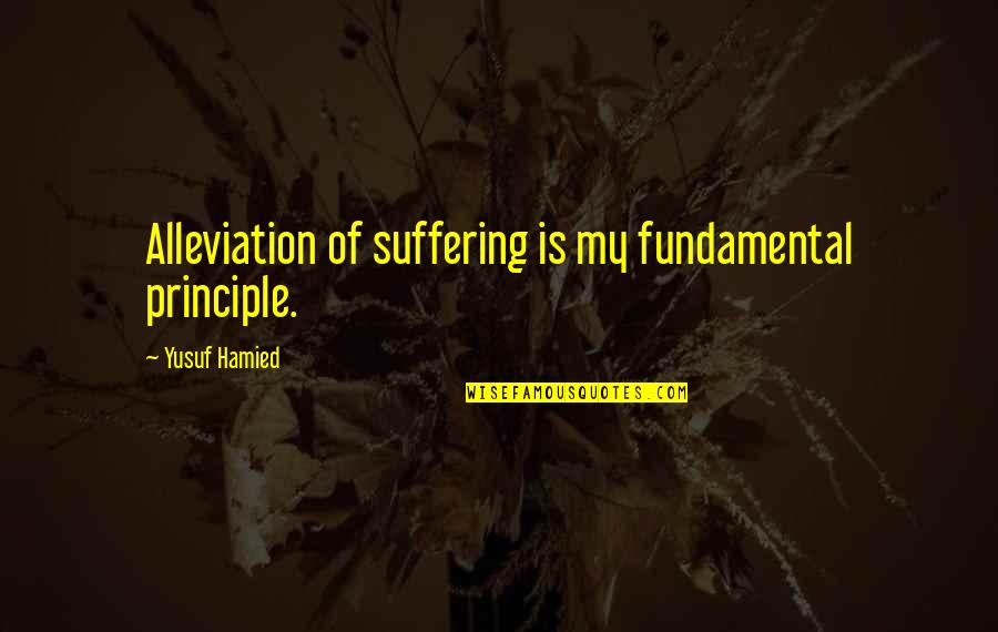 Everyone Is Replaced Quotes By Yusuf Hamied: Alleviation of suffering is my fundamental principle.