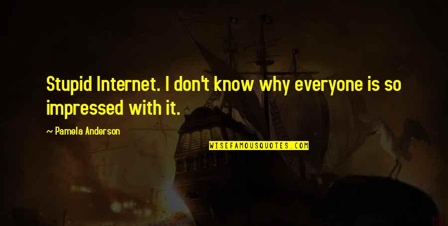 Everyone Knows Everyone Quotes By Pamela Anderson: Stupid Internet. I don't know why everyone is