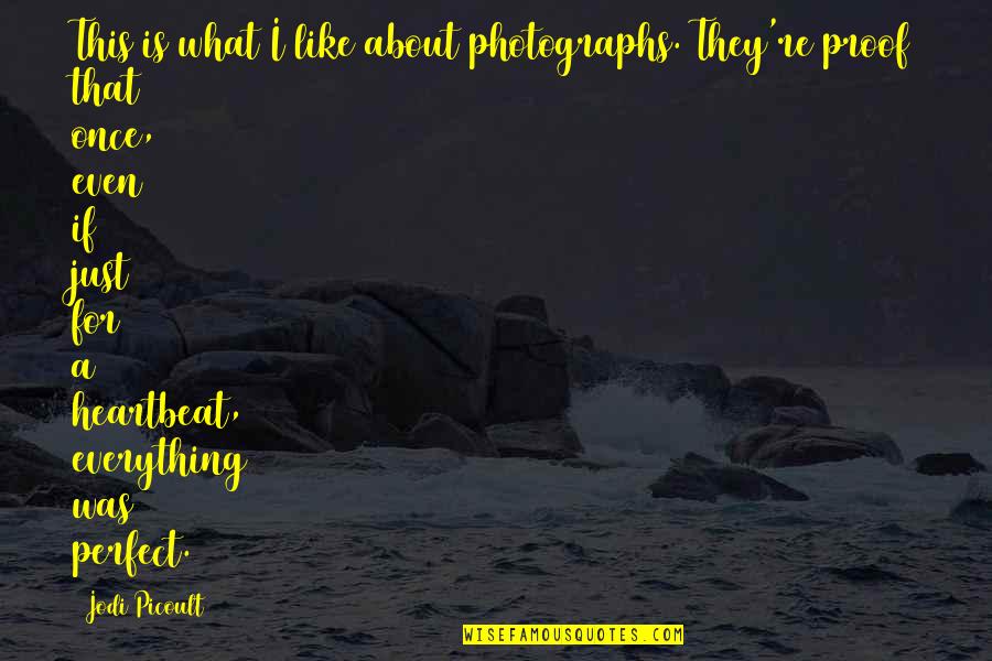Everything About You Is Perfect Quotes By Jodi Picoult: This is what I like about photographs. They're