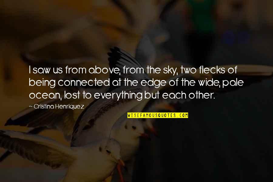 Everything Being Connected Quotes By Cristina Henriquez: I saw us from above, from the sky,