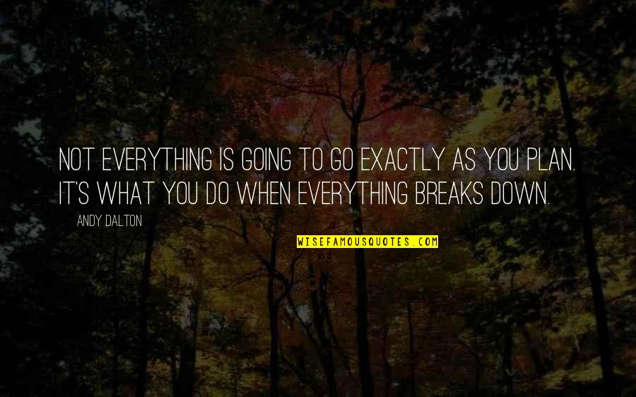 Everything Breaks Quotes By Andy Dalton: Not everything is going to go exactly as