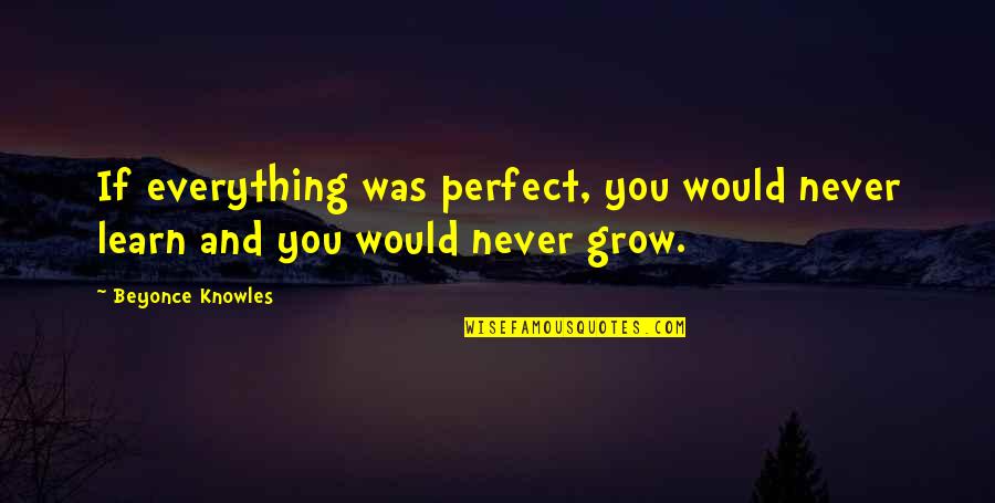 Everything But Perfect Quotes By Beyonce Knowles: If everything was perfect, you would never learn