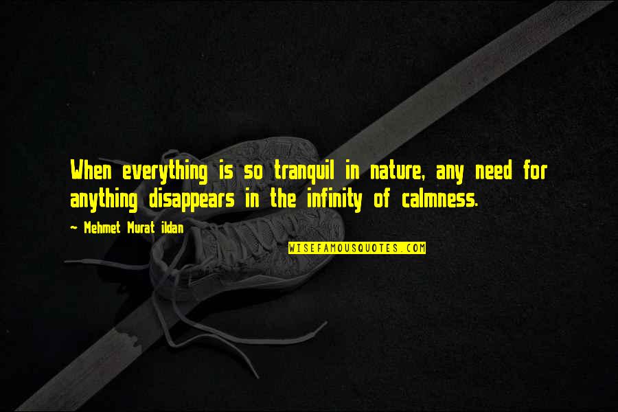 Everything Disappears Quotes By Mehmet Murat Ildan: When everything is so tranquil in nature, any