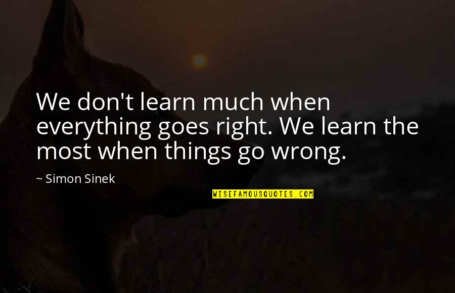 Everything Goes Quotes By Simon Sinek: We don't learn much when everything goes right.