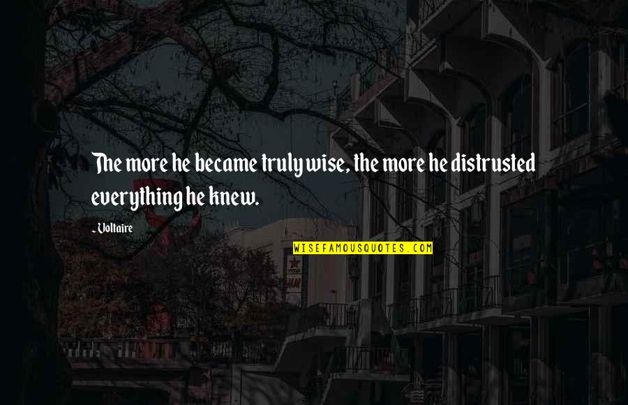 Everything Happen Quotes By Voltaire: The more he became truly wise, the more