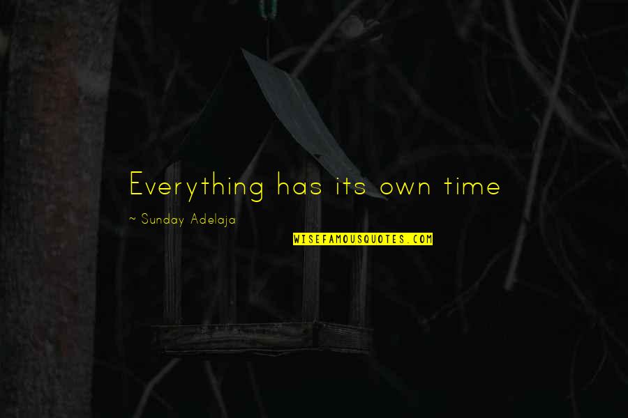 Everything Has Its Own Time Quotes By Sunday Adelaja: Everything has its own time
