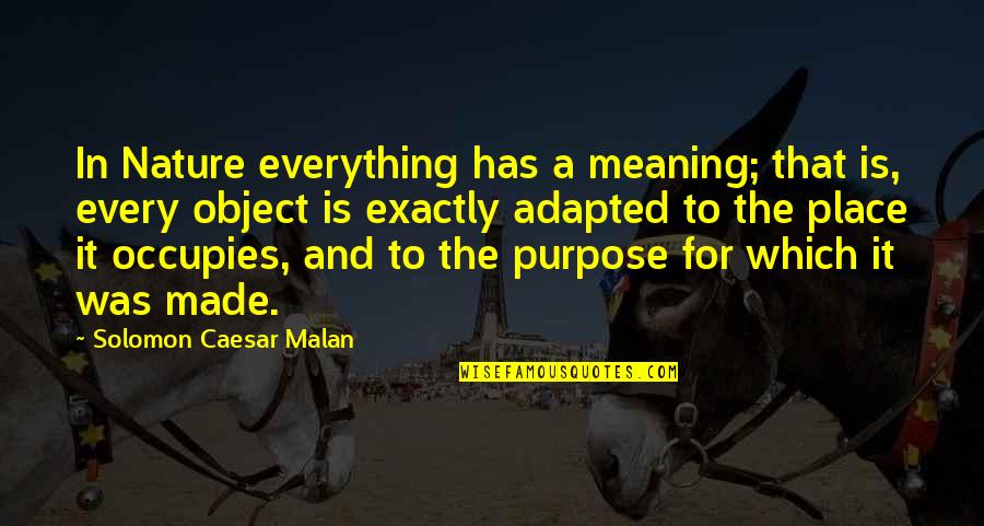 Everything Has Its Purpose Quotes By Solomon Caesar Malan: In Nature everything has a meaning; that is,