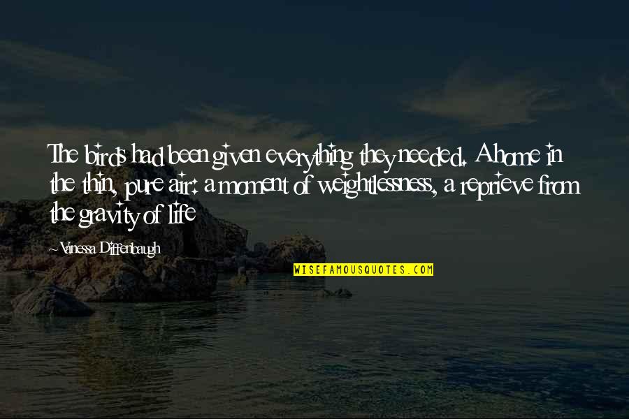 Everything I D Been In My Life Quotes By Vanessa Diffenbaugh: The birds had been given everything they needed.