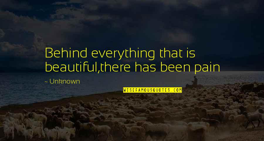Everything Is Beautiful Quotes By Unknown: Behind everything that is beautiful,there has been pain