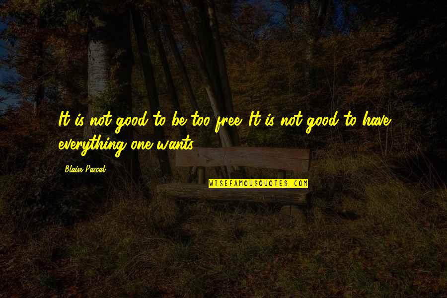 Everything Is Good Now Quotes By Blaise Pascal: It is not good to be too free.