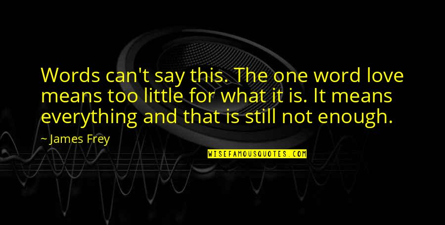 Everything Is Not Enough Quotes By James Frey: Words can't say this. The one word love