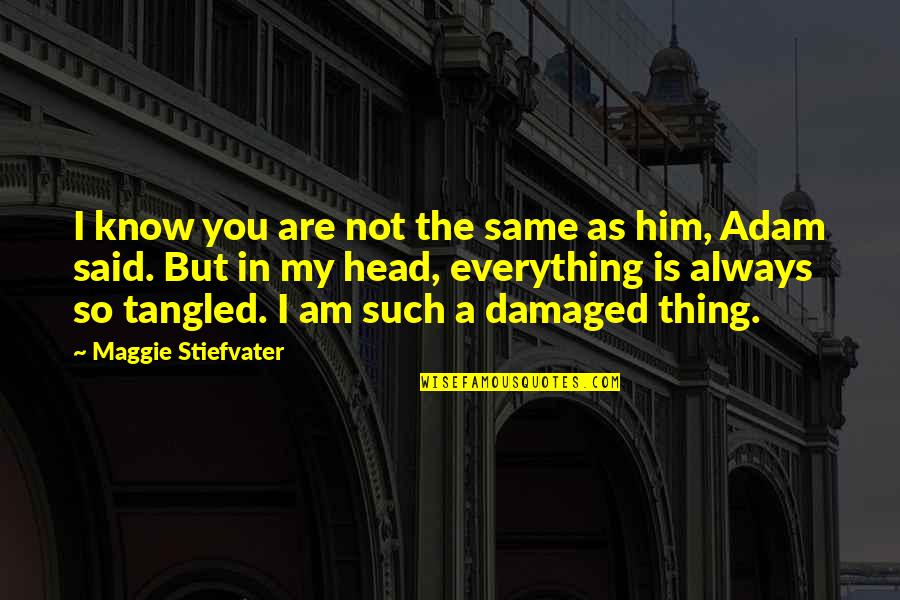 Everything Is Not The Same Quotes By Maggie Stiefvater: I know you are not the same as