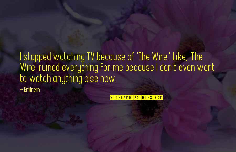 Everything Is Ruined Quotes By Eminem: I stopped watching TV because of 'The Wire.'