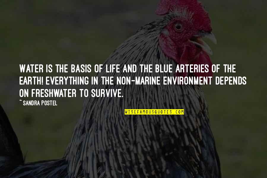 Everything On Earth Quotes By Sandra Postel: Water is the basis of life and the Everything On Earth Quotes By Sandra Postel: Water is the basis of life and the