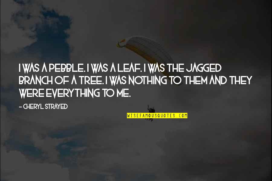 Everything To Nothing Quotes By Cheryl Strayed: I was a pebble. I was a leaf.