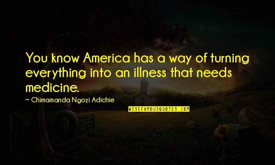 Everything Turning Out Okay Quotes By Chimamanda Ngozi Adichie: You know America has a way of turning