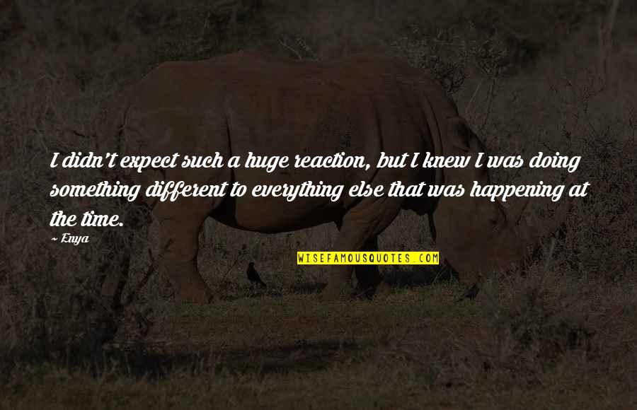 Everything Was Different Quotes By Enya: I didn't expect such a huge reaction, but