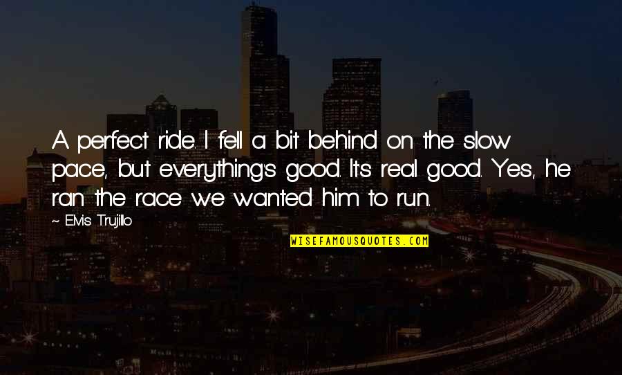 Everything Was Perfect Quotes By Elvis Trujillo: A perfect ride. I fell a bit behind