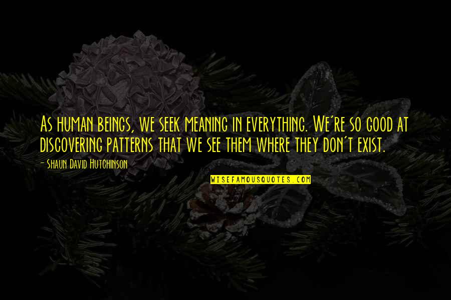 Everything We See Quotes By Shaun David Hutchinson: As human beings, we seek meaning in everything. Everything We See Quotes By Shaun David Hutchinson: As human beings, we seek meaning in everything.