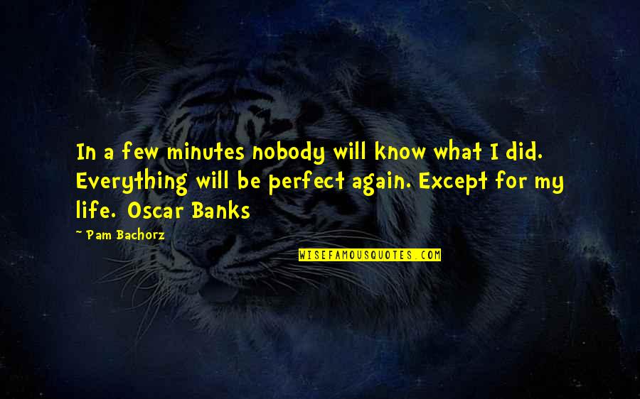 Everything Will Be Perfect Quotes By Pam Bachorz: In a few minutes nobody will know what