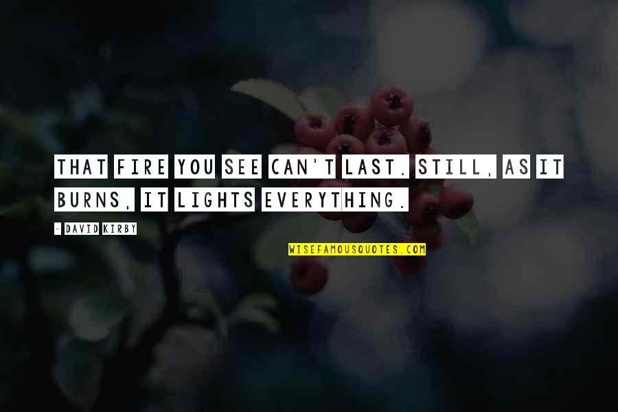 Everything You See Quotes By David Kirby: That fire you see can't last. Still, as