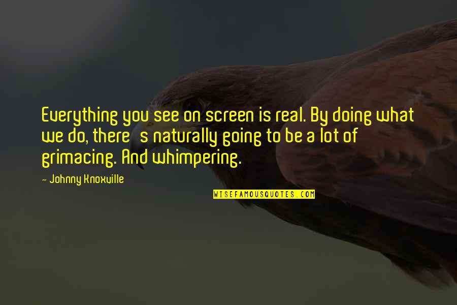 Everything You See Quotes By Johnny Knoxville: Everything you see on screen is real. By Everything You See Quotes By Johnny Knoxville: Everything you see on screen is real. By