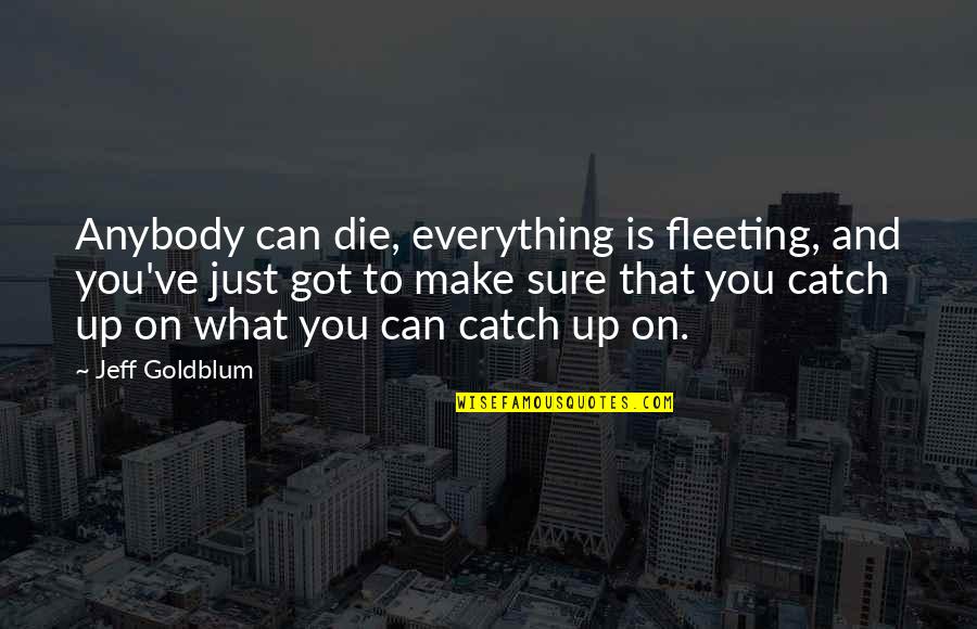 Everything's Up To You Quotes By Jeff Goldblum: Anybody can die, everything is fleeting, and you've